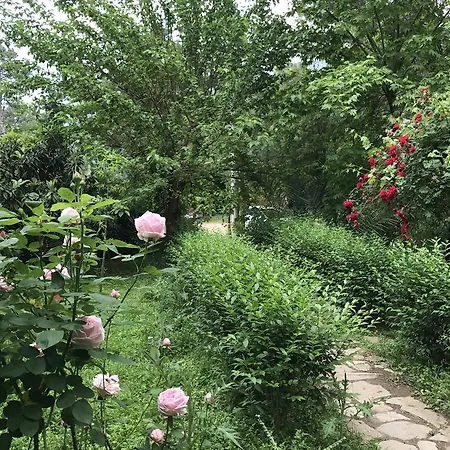 Lodge Eskibeyaz/olympos *