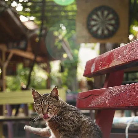 Eskibeyaz/olympos