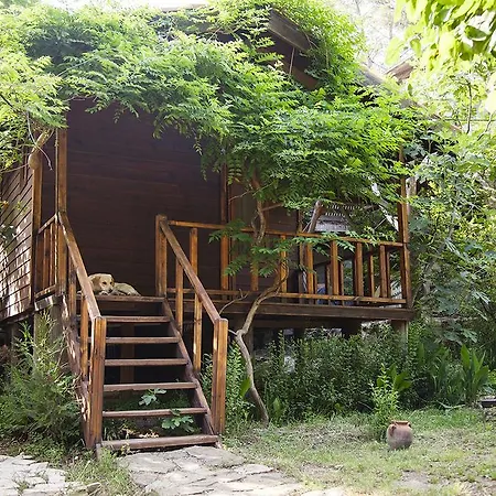 Alojamento de Turismo Selvagem Eskibeyaz/olympos Olympos