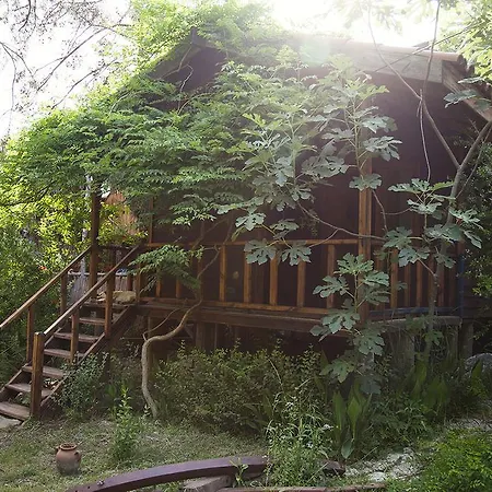 Eskibeyaz/olympos Lodge