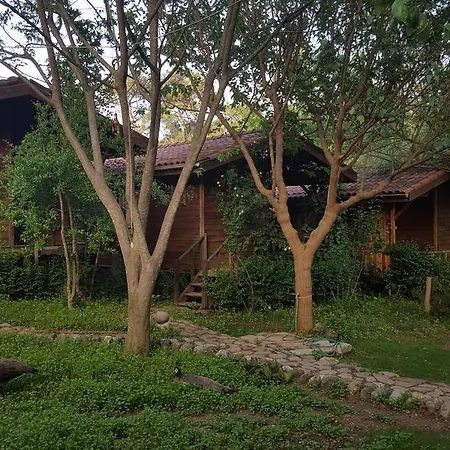 Eskibeyaz/olympos Lodge