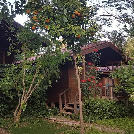 Eskibeyaz/olympos * Olympos