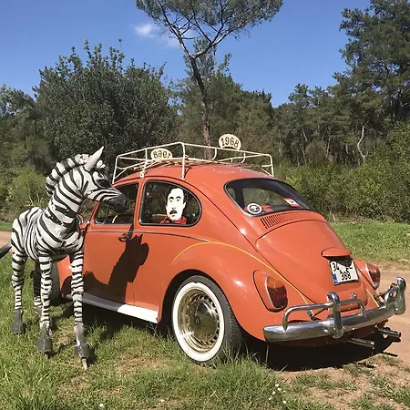 Eskibeyaz/olympos Alojamento de Turismo Selvagem Olympos