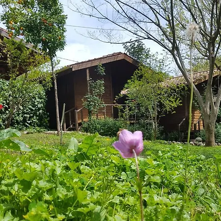Cabană Eskibeyaz/olympos