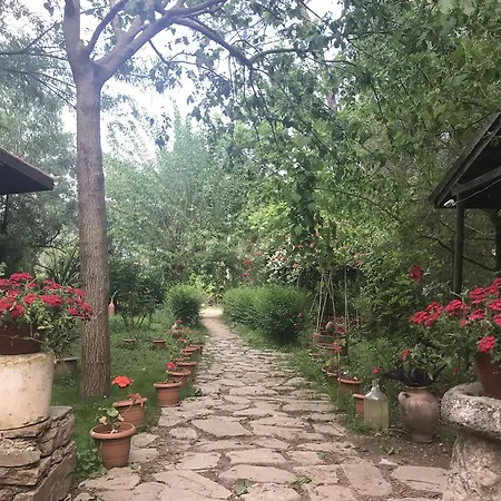Eskibeyaz/olympos *