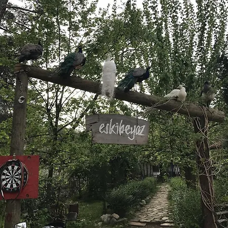 Cabană Eskibeyaz/olympos Olympos